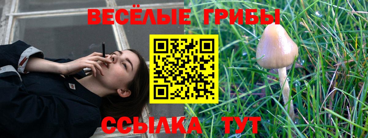 Галлюциногенные грибы мухоморы Карпинск
